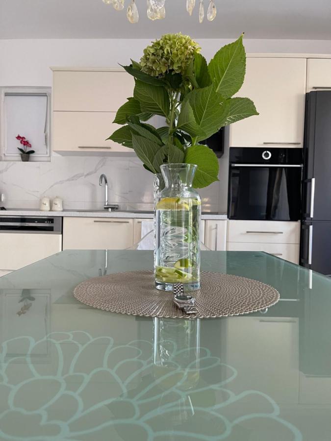 Apartmani Cirovic Luxury Χέρτσεγκ Νόβι Εξωτερικό φωτογραφία