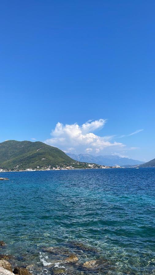 Apartmani Cirovic Luxury Χέρτσεγκ Νόβι Εξωτερικό φωτογραφία